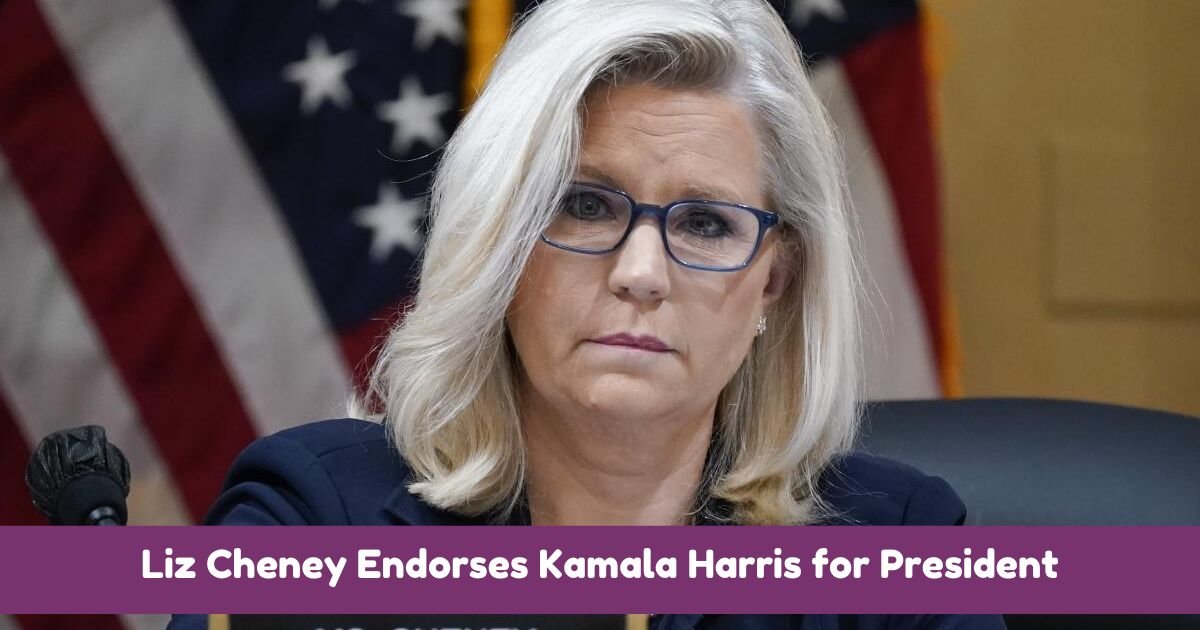 Liz Cheney Endorses Kamala Harris for President